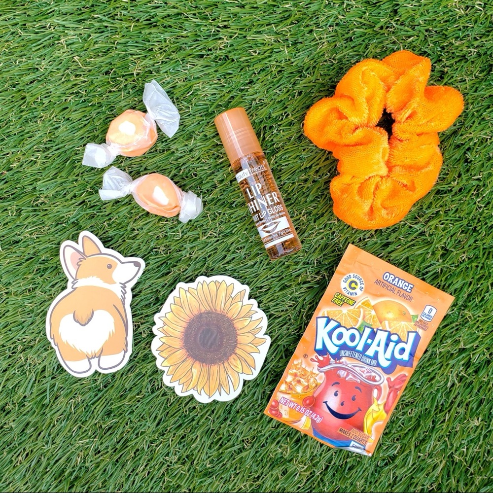 LIPGLOSS & SCRUNCHIE BUNDLE - Picture 7 of 8